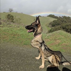 Meet your Posher, April